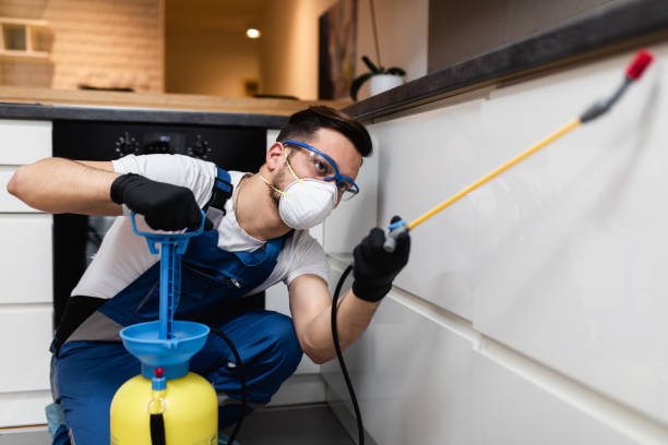Best Affordable Pest Control Services  in Golden Beach, MD