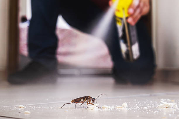 Trusted Golden Beach, MD Pest Control Experts